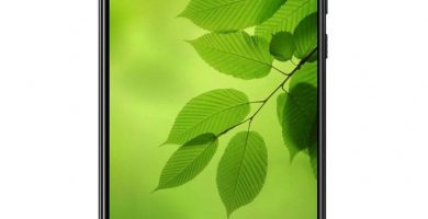 firmware downgrade bac-l03