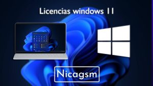 License Windows 11